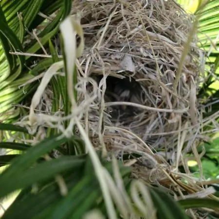 Casa Corea 2 Feriehus