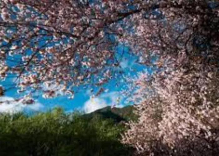 Casa Corea 2 * Puntagorda