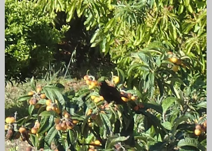 Casa Corea 2 Puntagorda