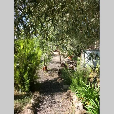 Holiday home Casa Corea 2 Puntagorda (La Palma)